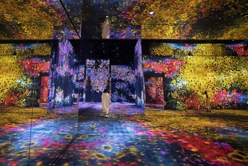 teamLab SuperNature Macao - Valley of Flowers and People Lost,Immersed and Reborn