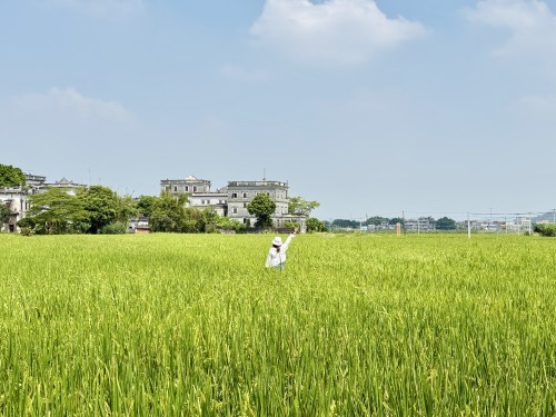 開平